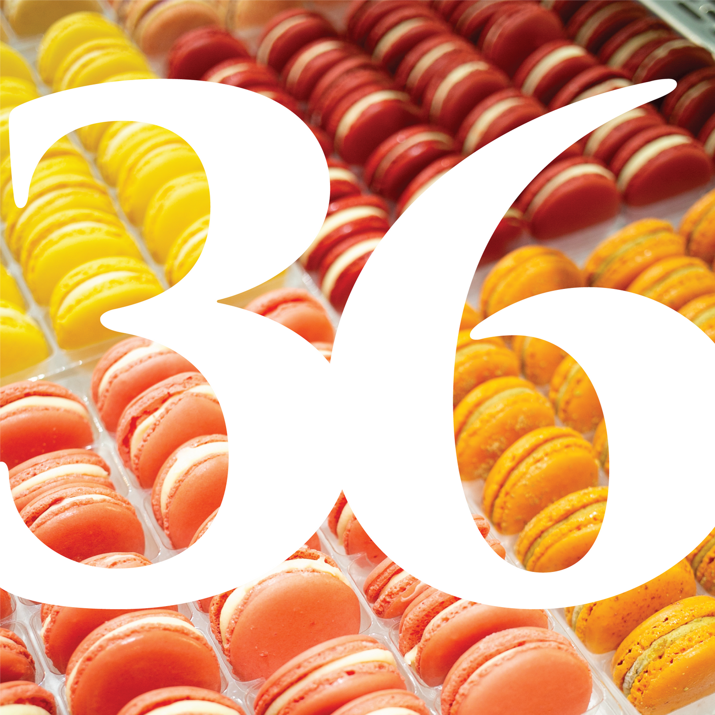 MACARON BOXES